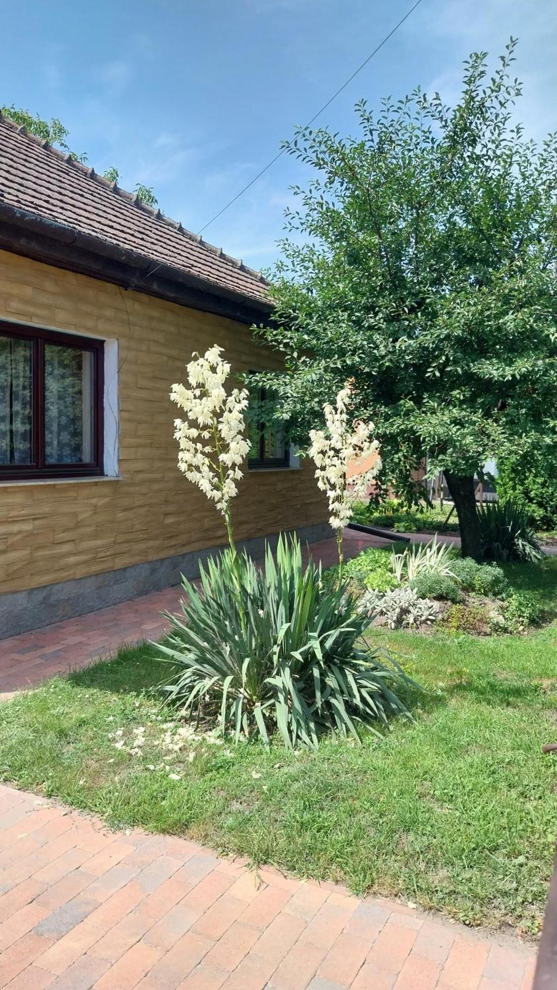 Haven Katherina Fonyodliget Exterior photo